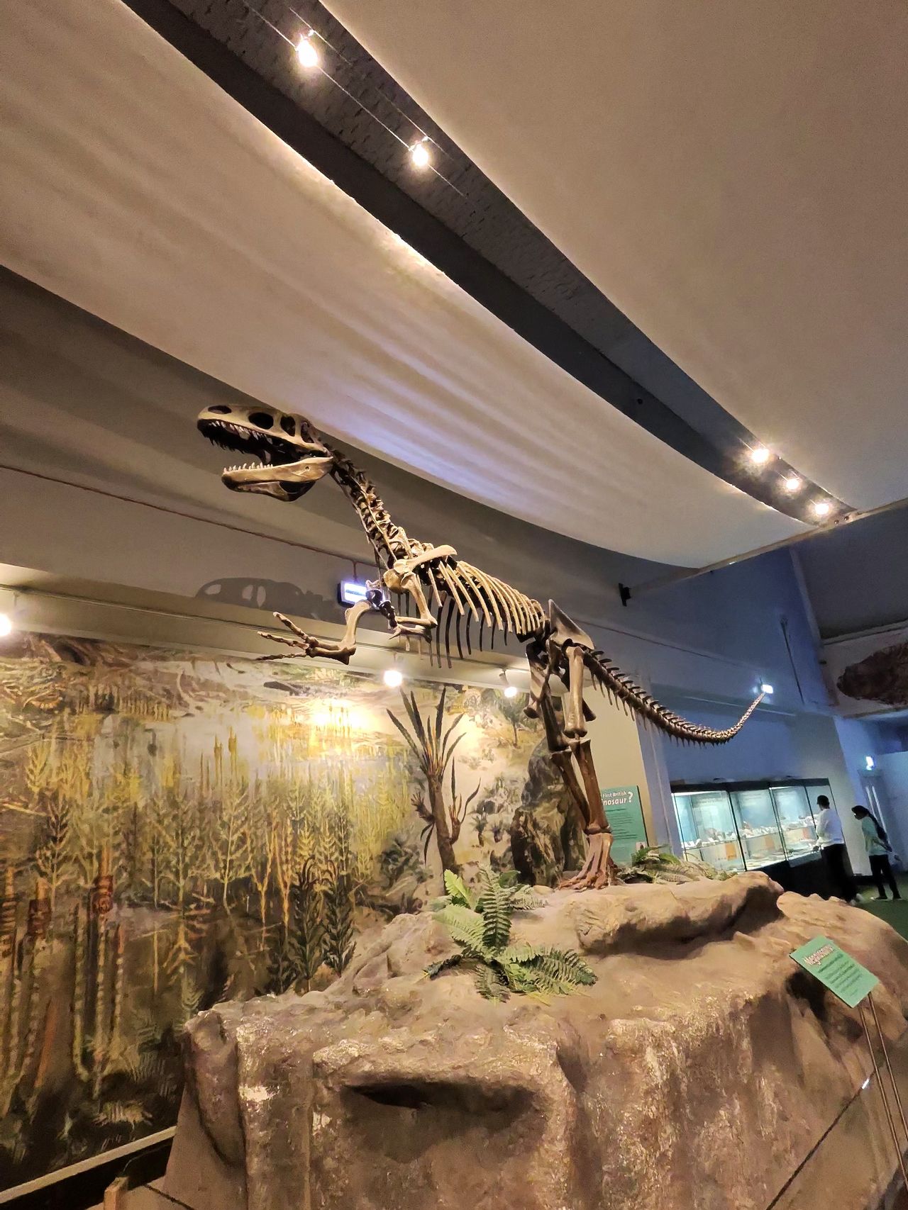 Image taken with the Ray-Ban Meta smart glasses showing a dinosaur skeleton exhibition inside of a museum.