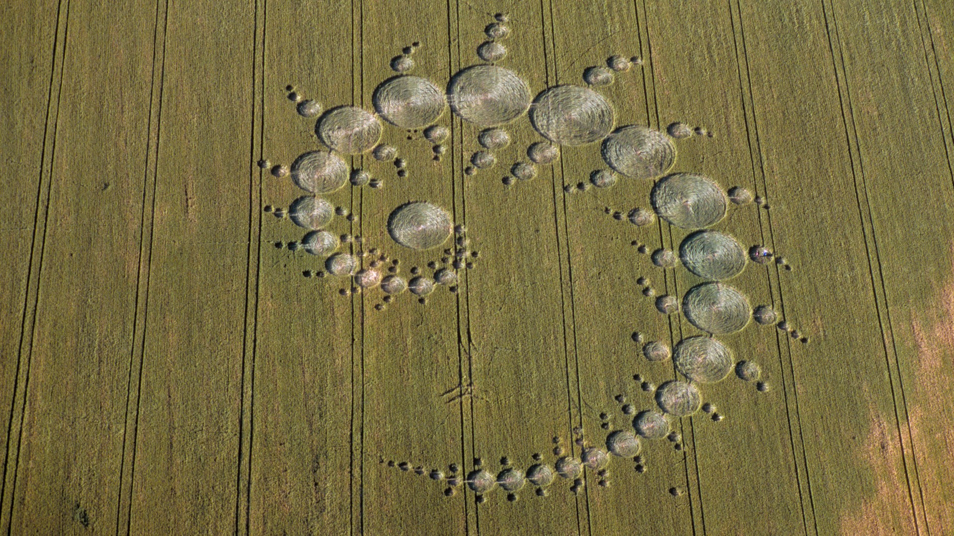 The Crop Circle which appeared at Stonehenge in 1996