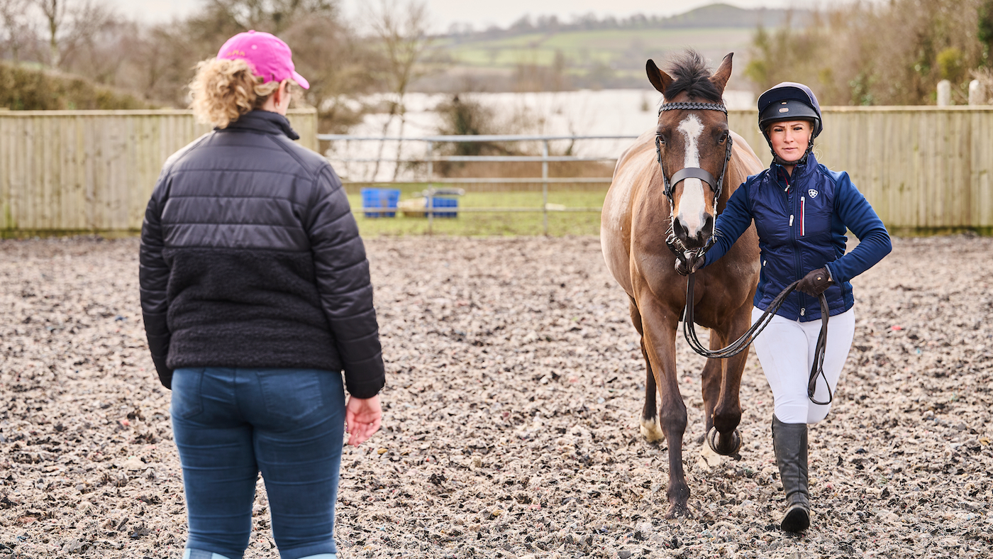 Preparing horse for show ring: Trotting horse up in front of another person
