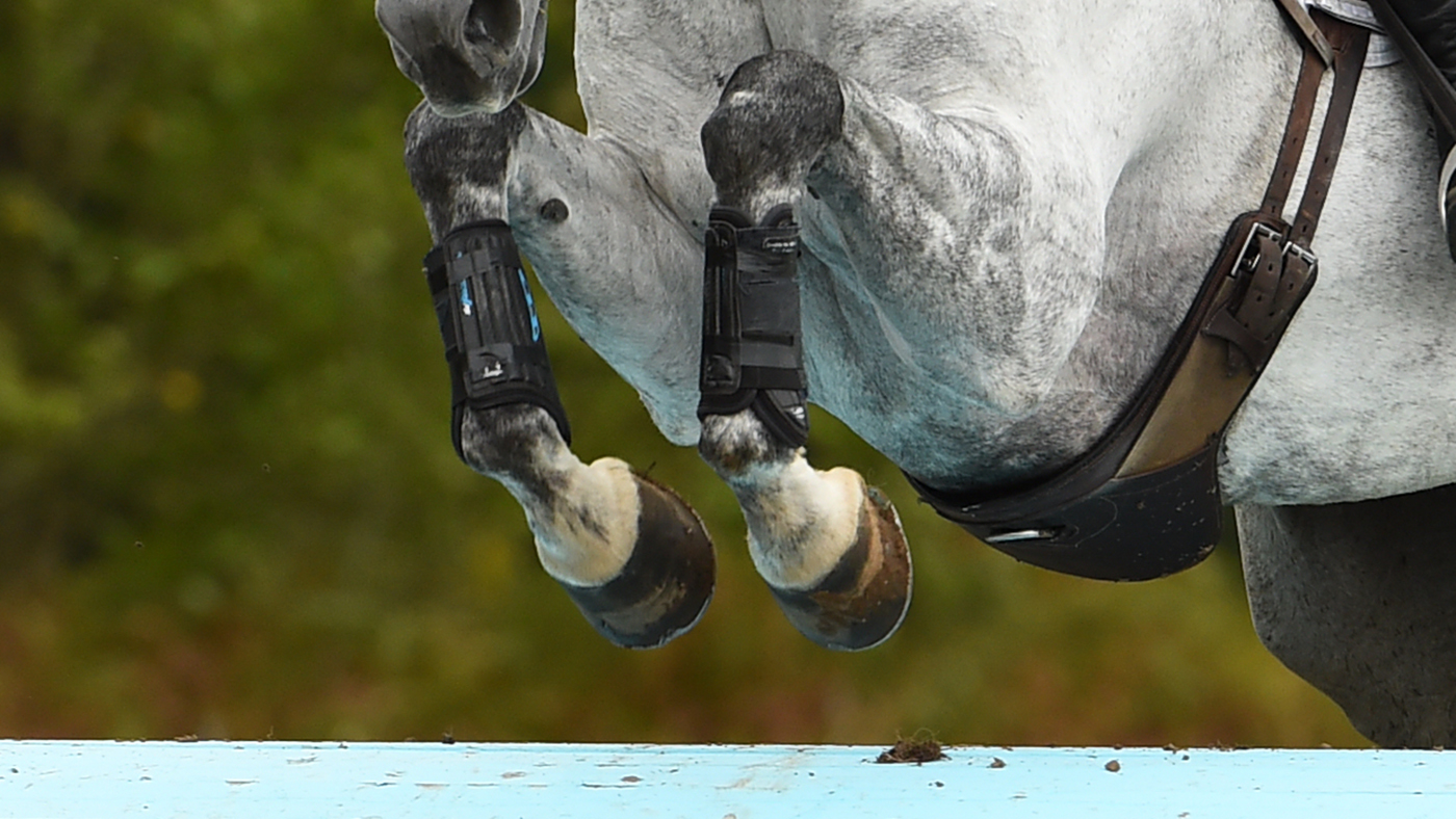 EVENTING HORSE LEGS Ben Way riding PERKEL in Int Section O during the Wellington Horse Trials in Highfield Park near Hook in Hampshire in the UK on 27th August 2018