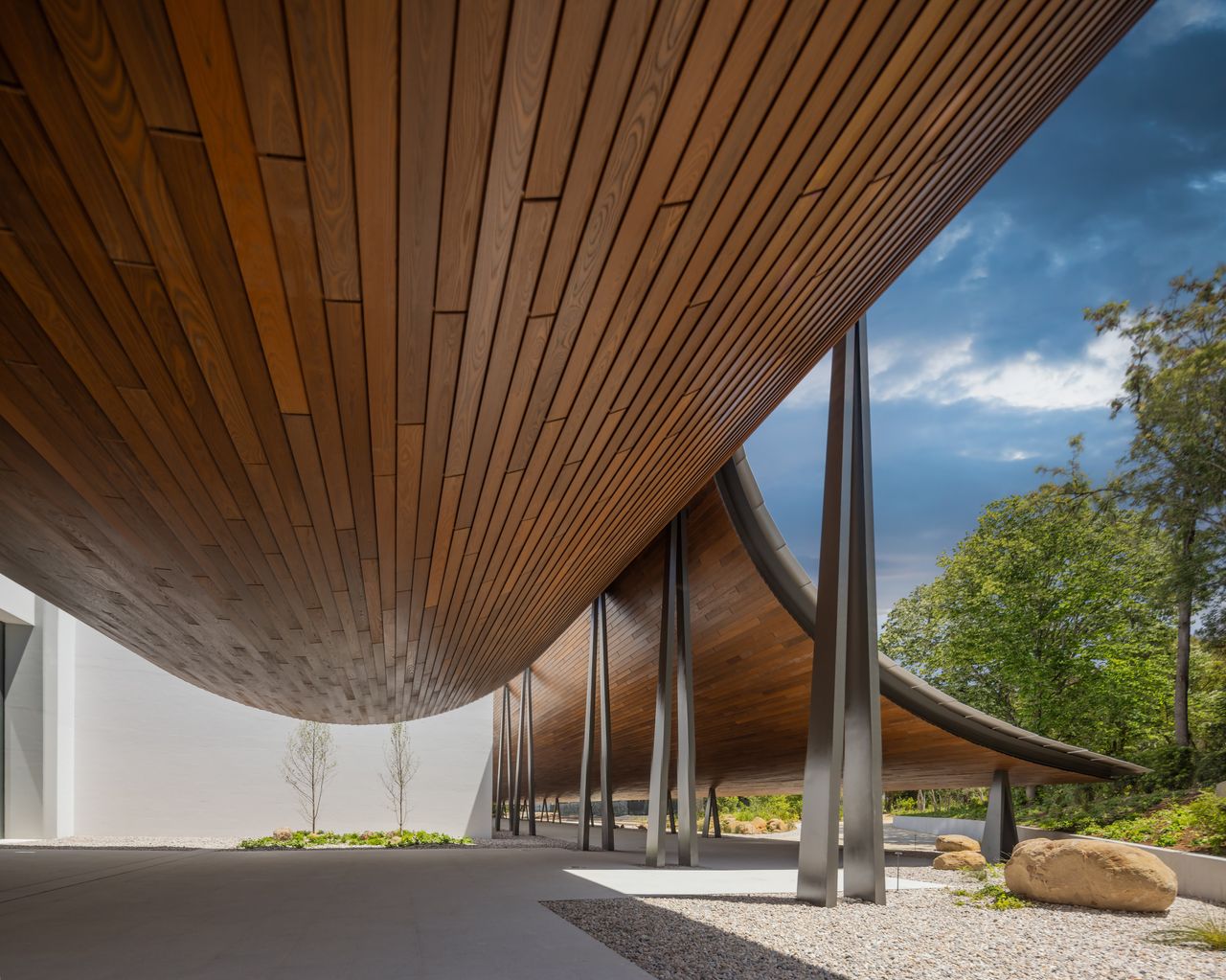 gulbenkian foundation&#039;s new art museum with swooping kengo kuma timber roof