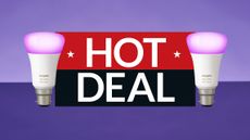 Philips Hue bulbs on purple background, with sign saying Hot Deal