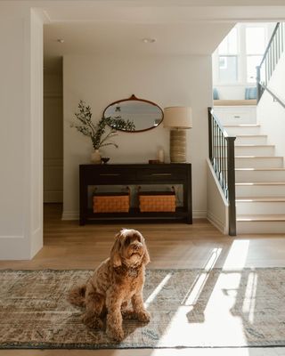 Entryway with console table, staircase and dog sitting on warm toned rug.