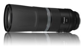 Canon RF lens roadmap: Canon RF 800mm f/11 IS STM