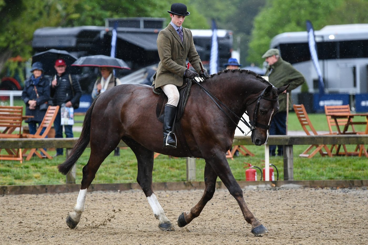 Harrys-Hunter_RWHS_PN19_17332_288963722_490778582-e1558015123428.jpg
