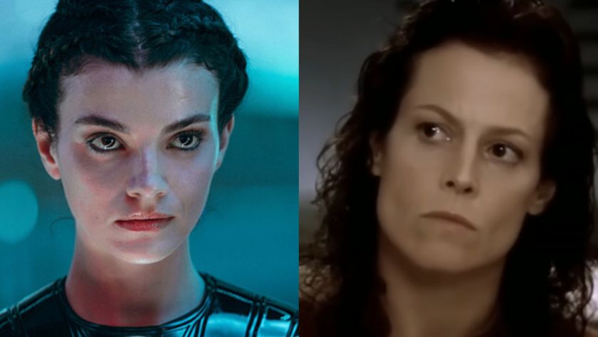 Tarima and Ripley side by side