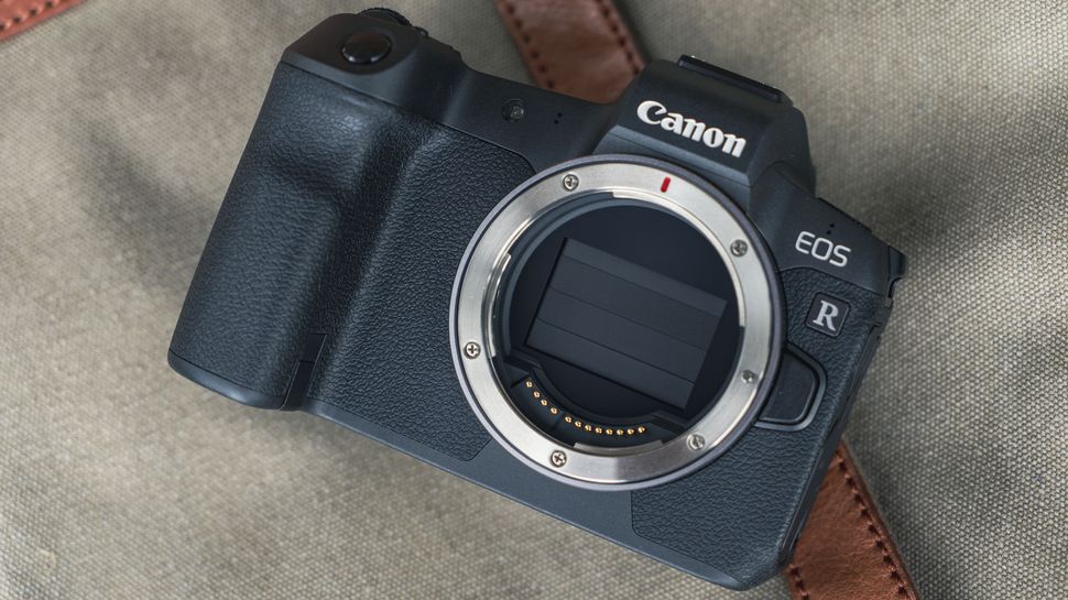 Canon EOS R vs EOS RP 10 key differences you need to know TechRadar