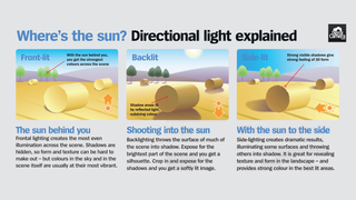 A photography cheat sheet explaining directional light with three images and text boxes