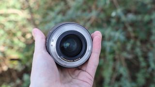 canon rf 24mm f1.8 macro is stm lens