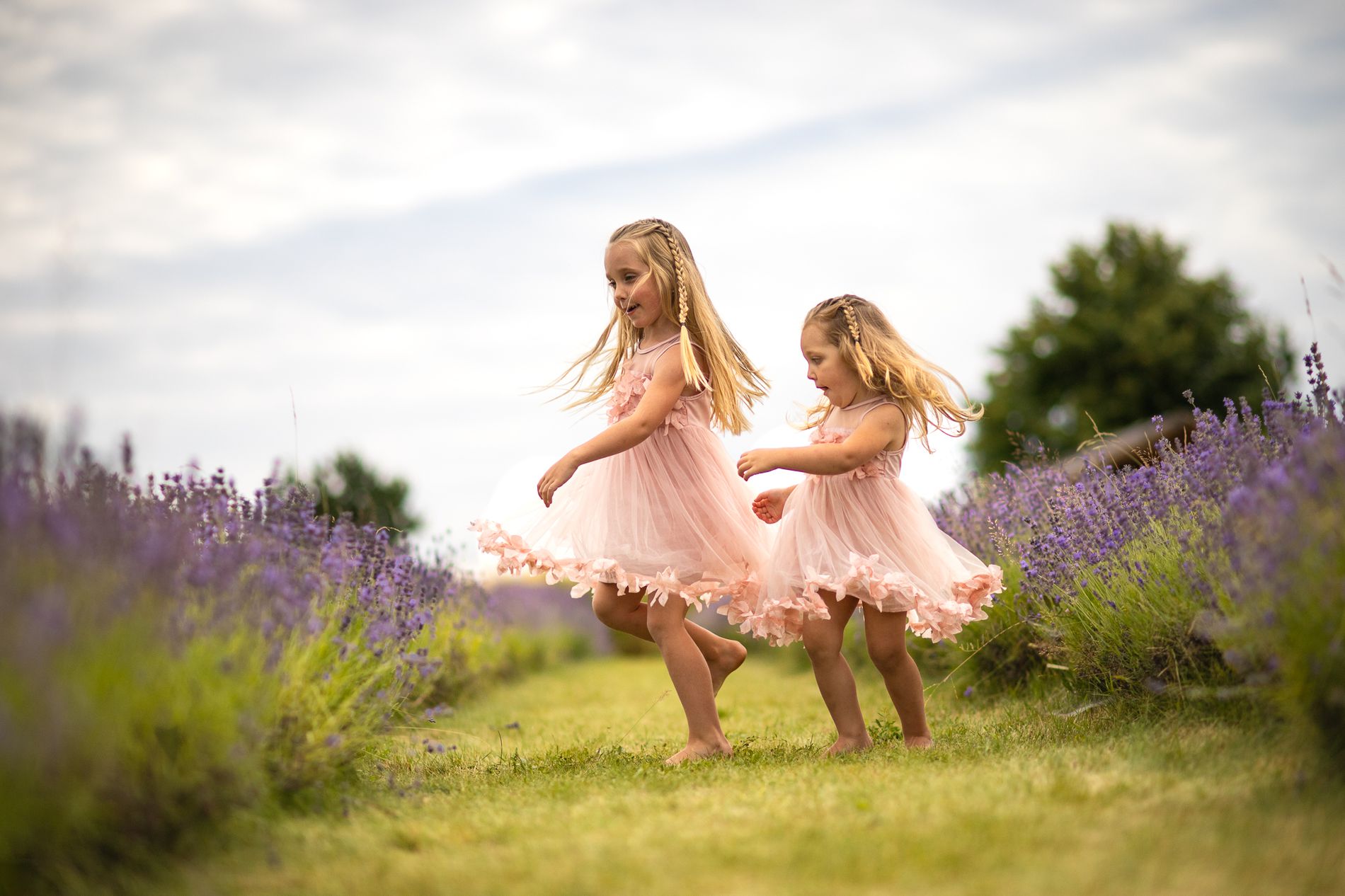 GuruShots - February 2026