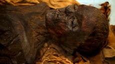 This mummy, of an unidentified woman, was discovered at Thebes in ancient Egypt and dates back to about 700 B.C.