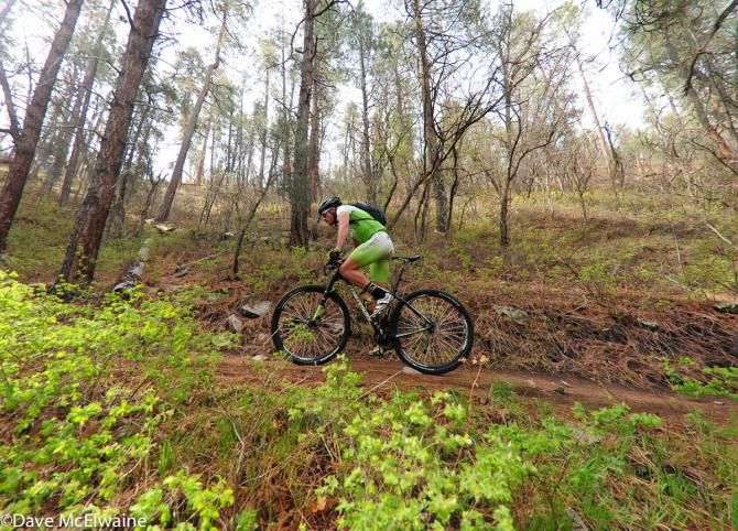 Some of the singletrack today was pretty sweet