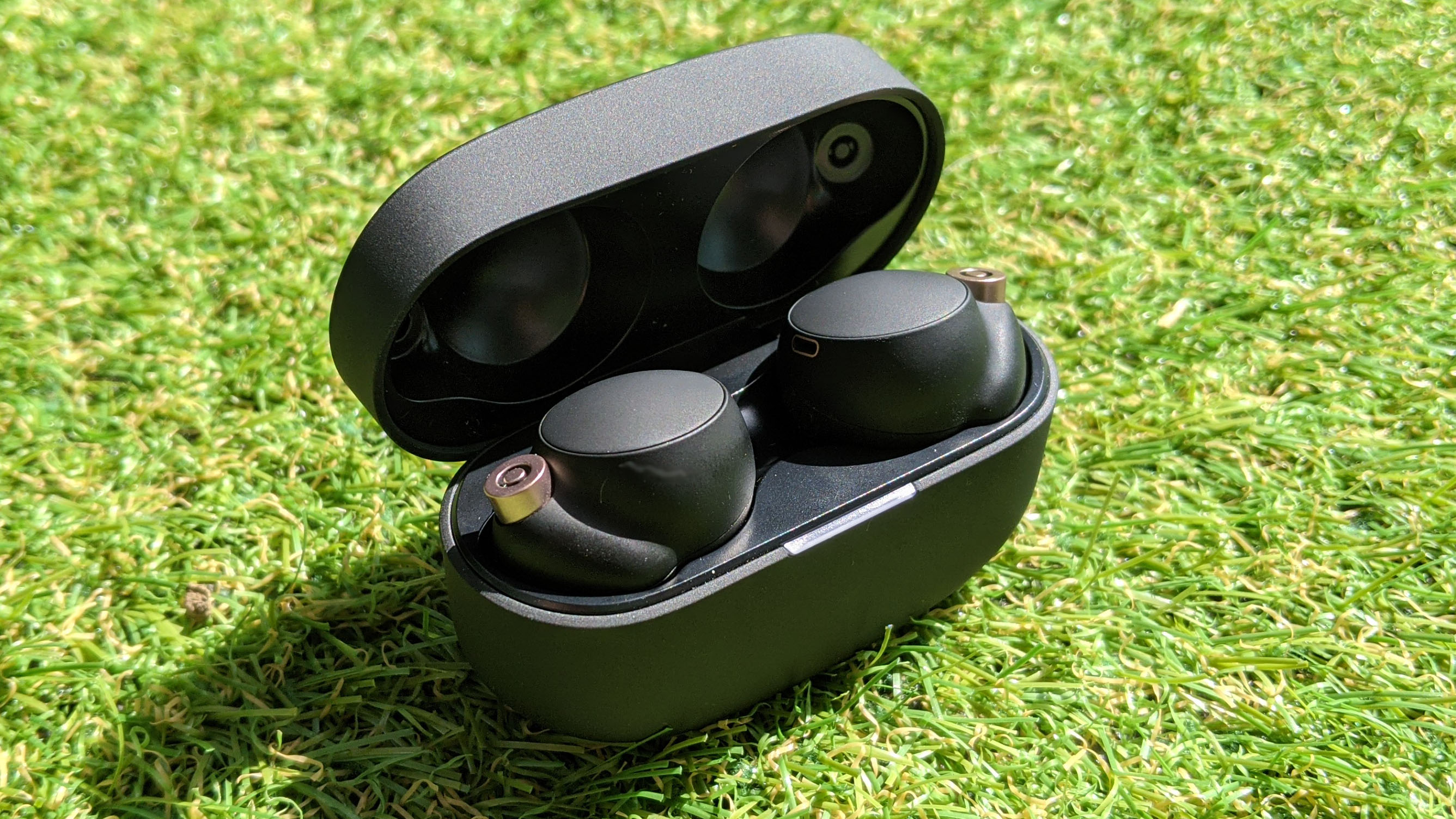Sony wf- Настоящие беспроводные наушники 1000xm4 черного цвета, изображенные в чехле для зарядки на фоне травы