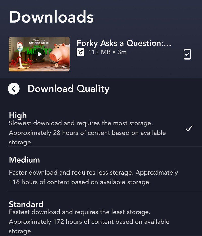 Disney+ high download example