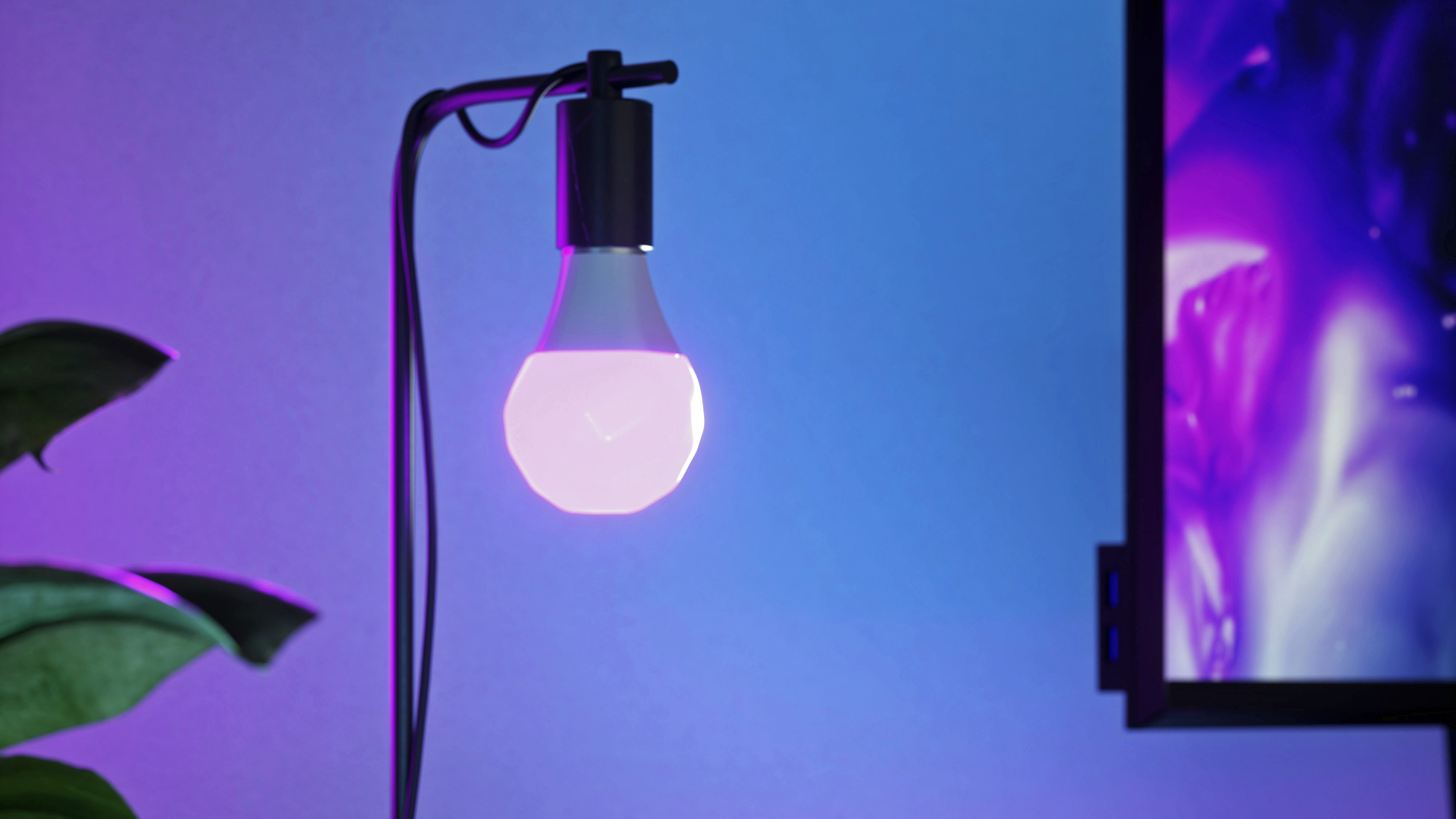 Innr's affordable A19 bulbs aren't worth the trouble for Hue users