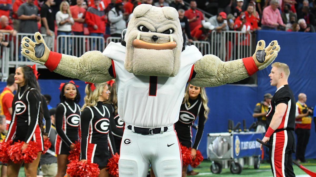  Georgia Bulldogs mascot Hairy Dawg