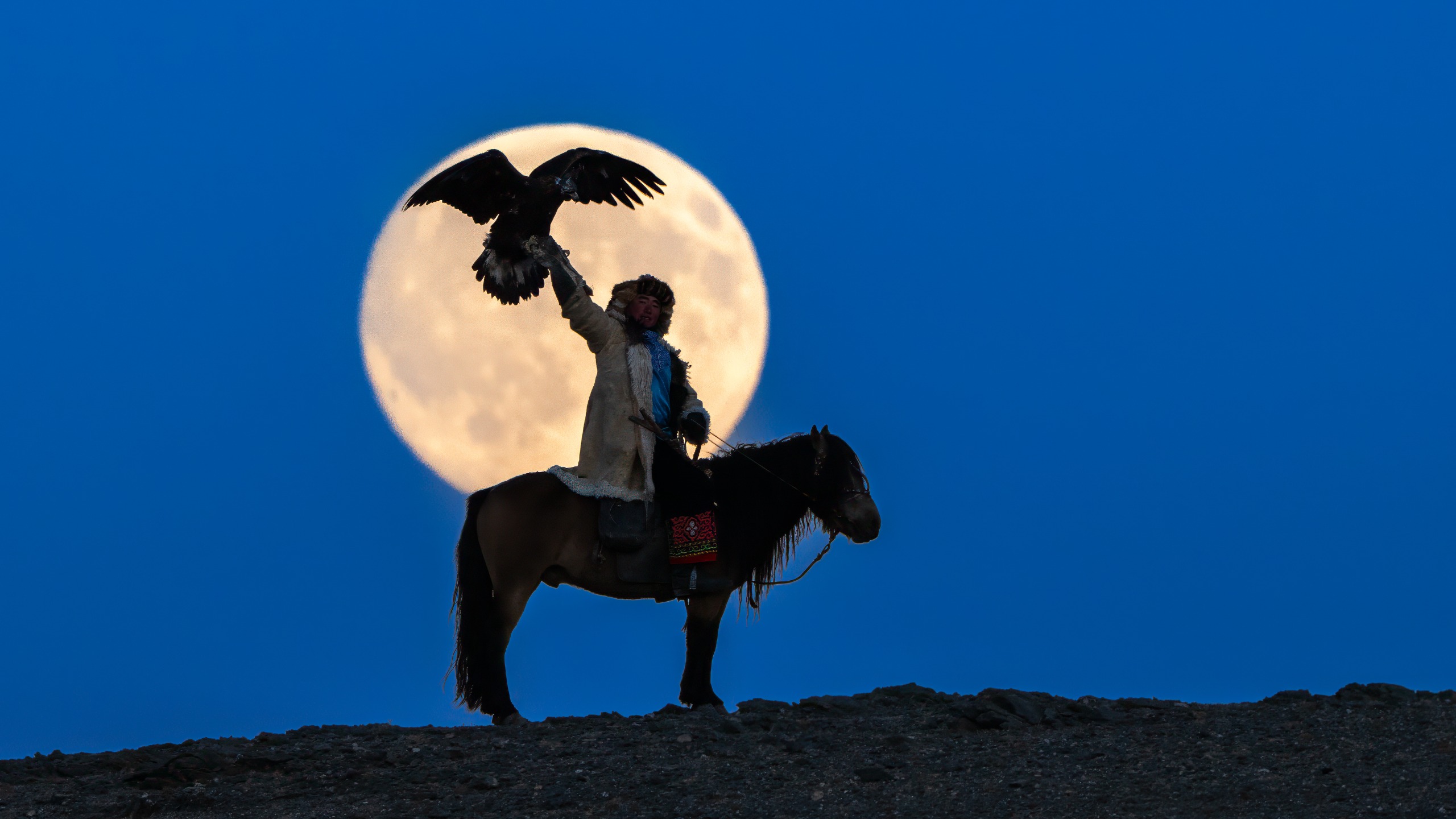 Eagle hunter on horseback with golden eagle in Mongolia at night