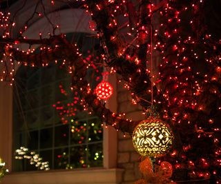 Red Christmas lights in a tree outside a home