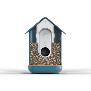 Birdbuddy smart feeder