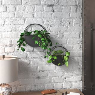 Josiah 2-Piece Iron Wall Planter Set