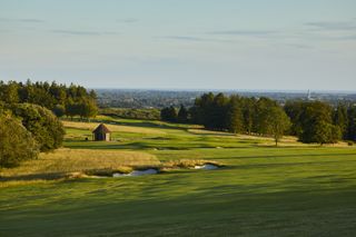 The Downs course at Goodwood