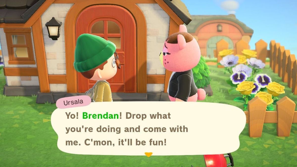 Animal Crossing: New Horizons