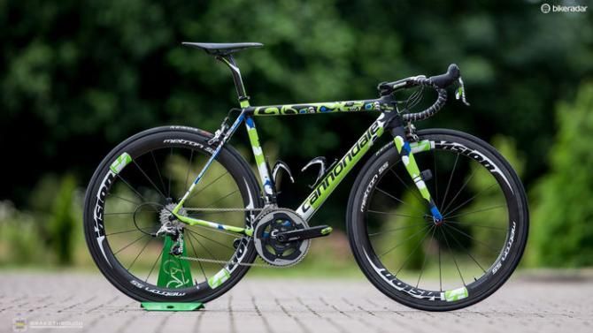 Elia Viviani - The Puma