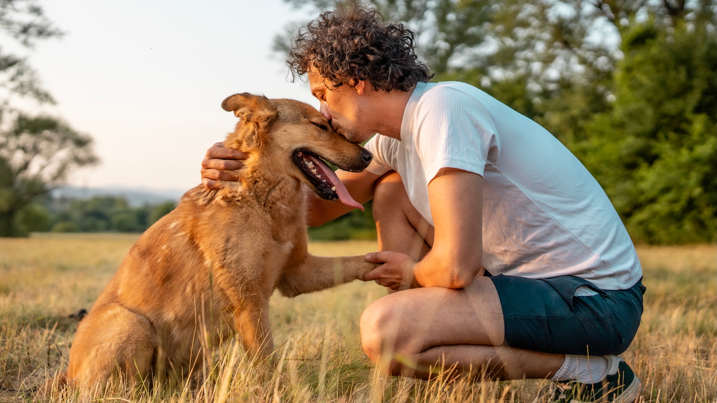 A man kisses his dog on the head, out on a walk