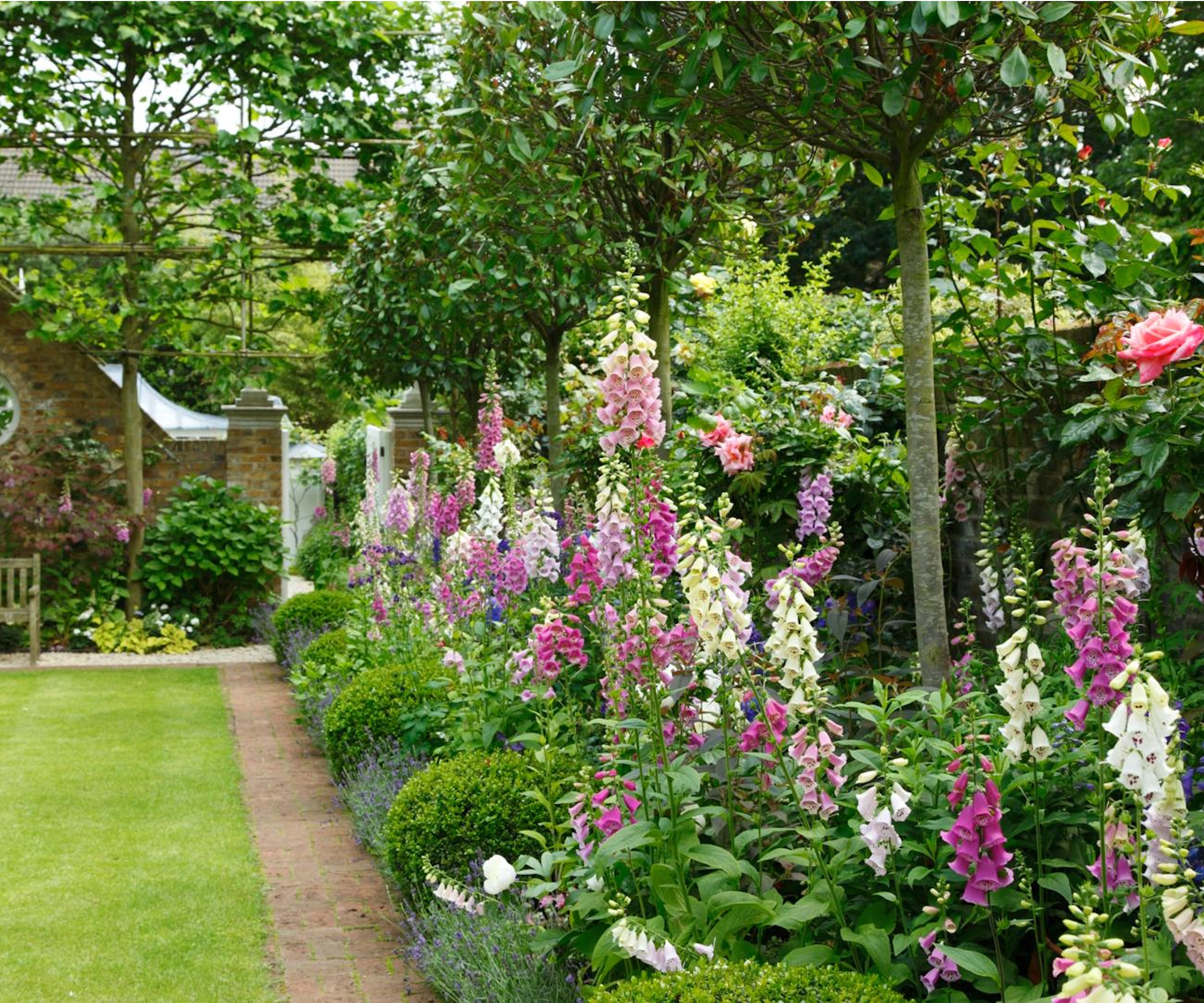 Garden border full of foxgloves