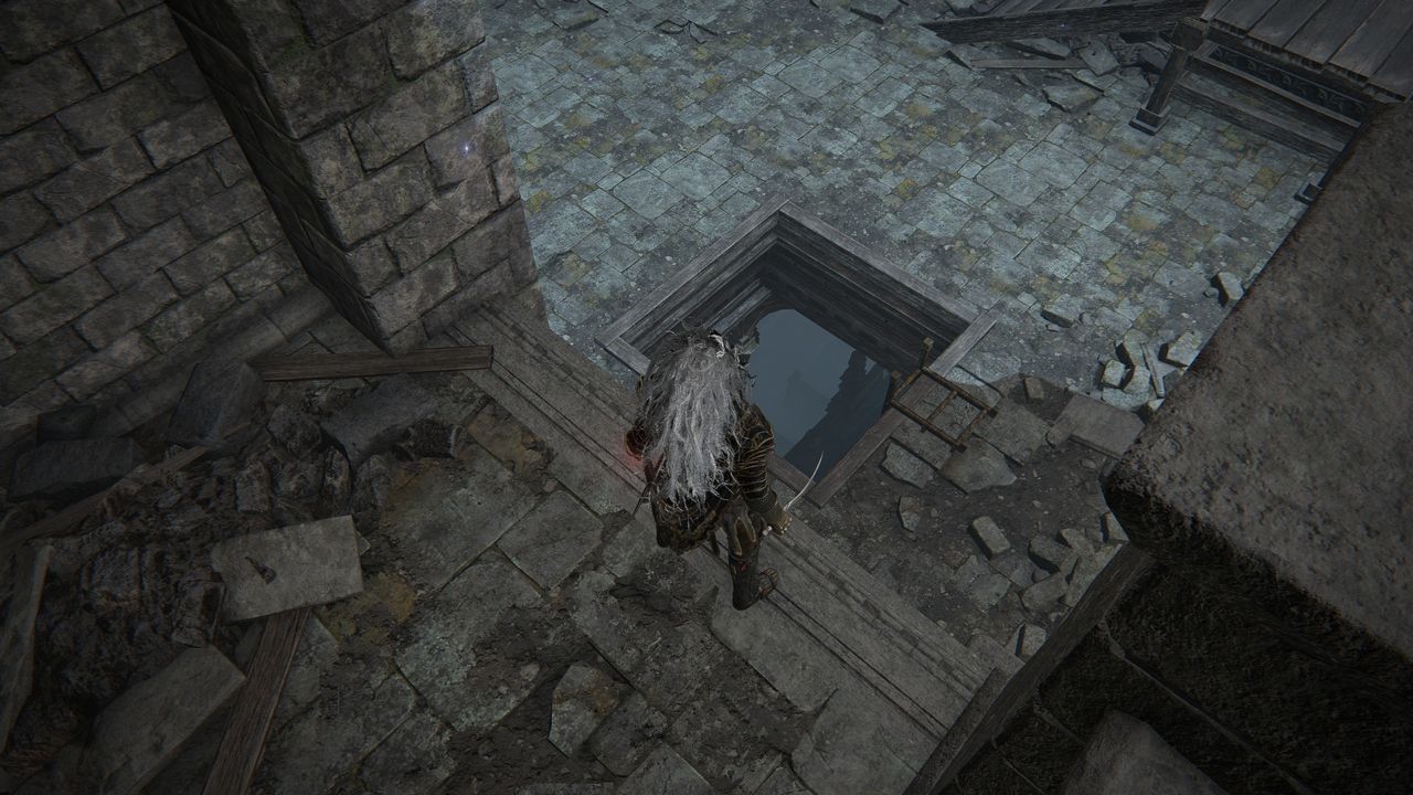 Elden Ring Seluvis