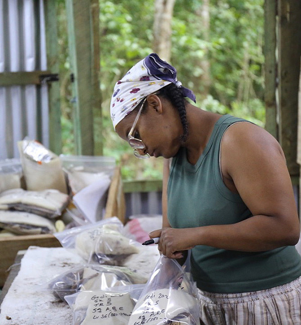 A woman labels archaeological samples
