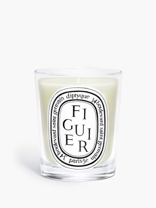 Figuier (fig Tree) - Classic Candle