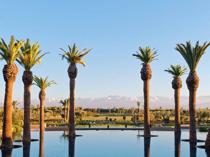 Royal Palm Marrakech