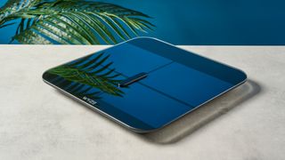 a sleek, clean-looking smart scale with tempered glass finish and a cross-shaped design on top of the glass, almost blue in the studio lighting, rests upon a table