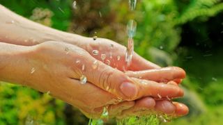 Close-up of a woman's hands with water running over them.