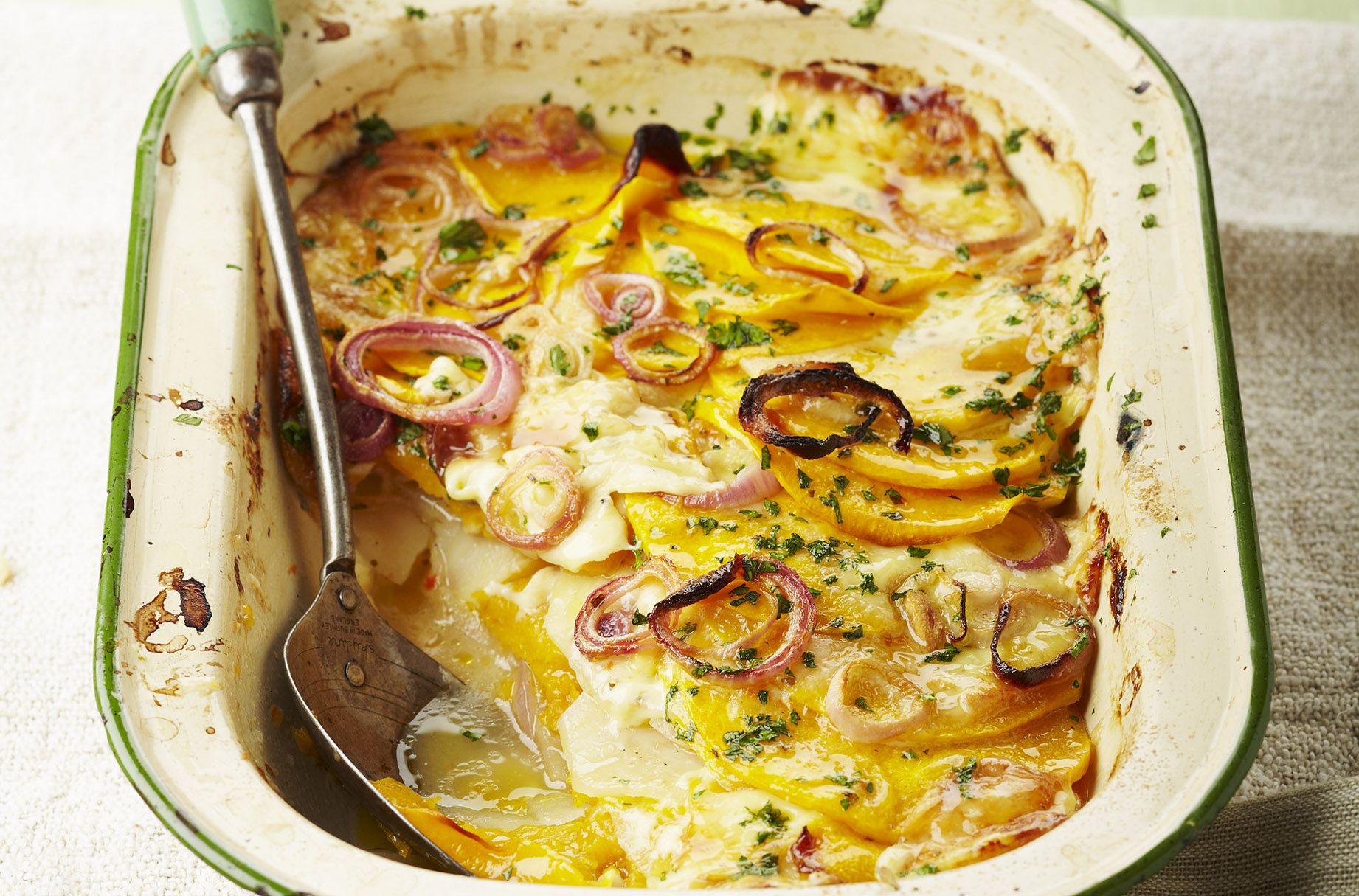 Butternut squash gratin recipe