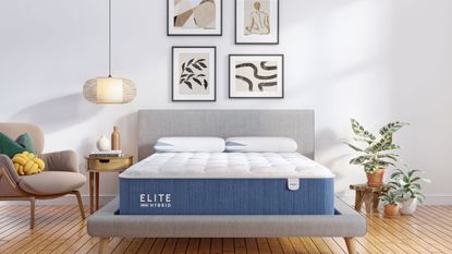 Bear Elite Hybrid Mattress on a bed against a white wall covered in wall art.