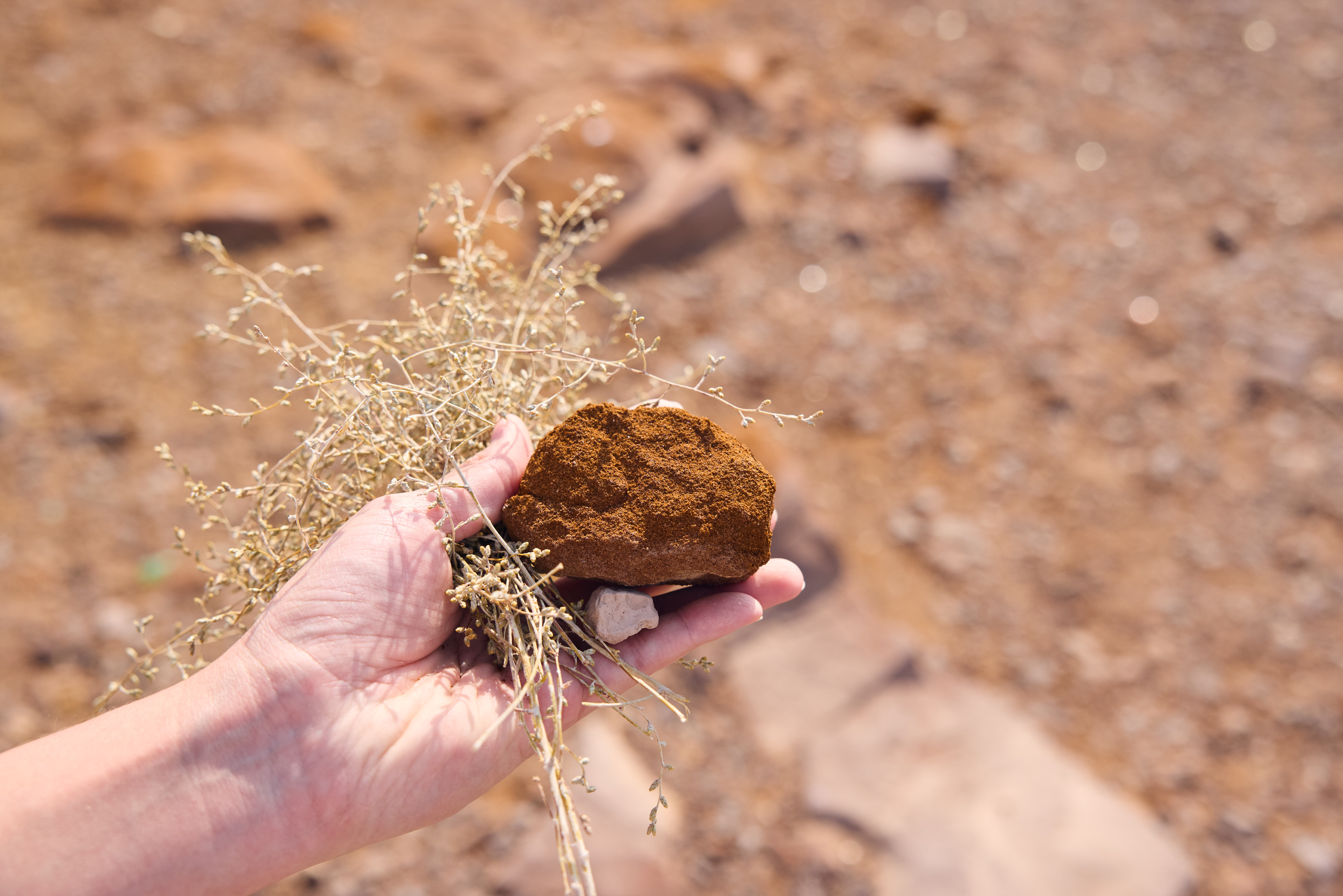 hand holding a stone and grass
