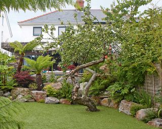 tropical style garden with lawn edged with large rocks