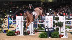 JohnWhitaker_GreenGrass_LIHS_PN21_4478.jpg