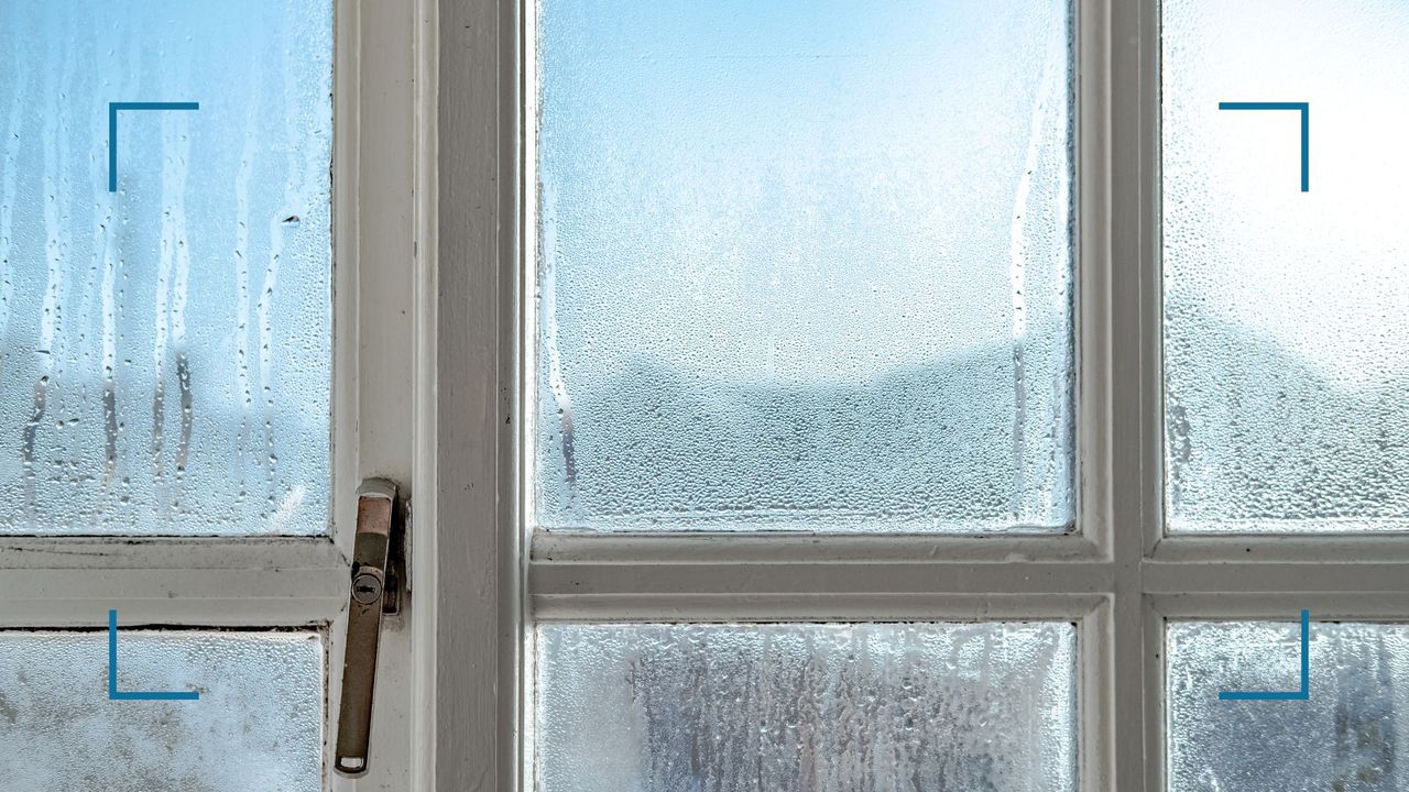 condensation on the inside of windows - picture of single pane windows with condensation on the inside