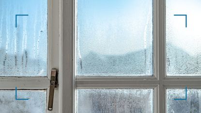 condensation on the inside of windows - picture of single pane windows with condensation on the inside