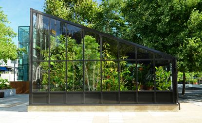 modern black greenhouse