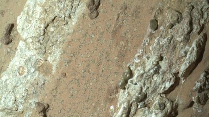 A sample collected by NASA’s Perseverance Mars rover from an ancient dry riverbed in Jezero Crater could preserve evidence of ancient microbial life. Taken from a rock named “Cheyava Falls” last year, the sample, called “Sapphire Canyon,” contains potential biosignatures, according to a paper published Wednesday in the journal Nature.