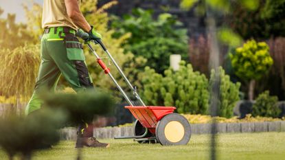 Feeding a lawn