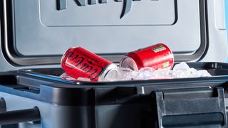 The Ninja FrostVault 45QT Wheeled Cooler photographed in front of a blue background.