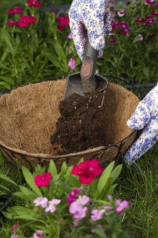 filling a hanging basket with compost