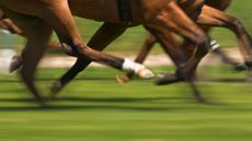 Library image of racehorses' legs at full gallop