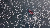 Aerial view of a small red boat with people rowing surrounded by a large flock of white birds flying over dark water
