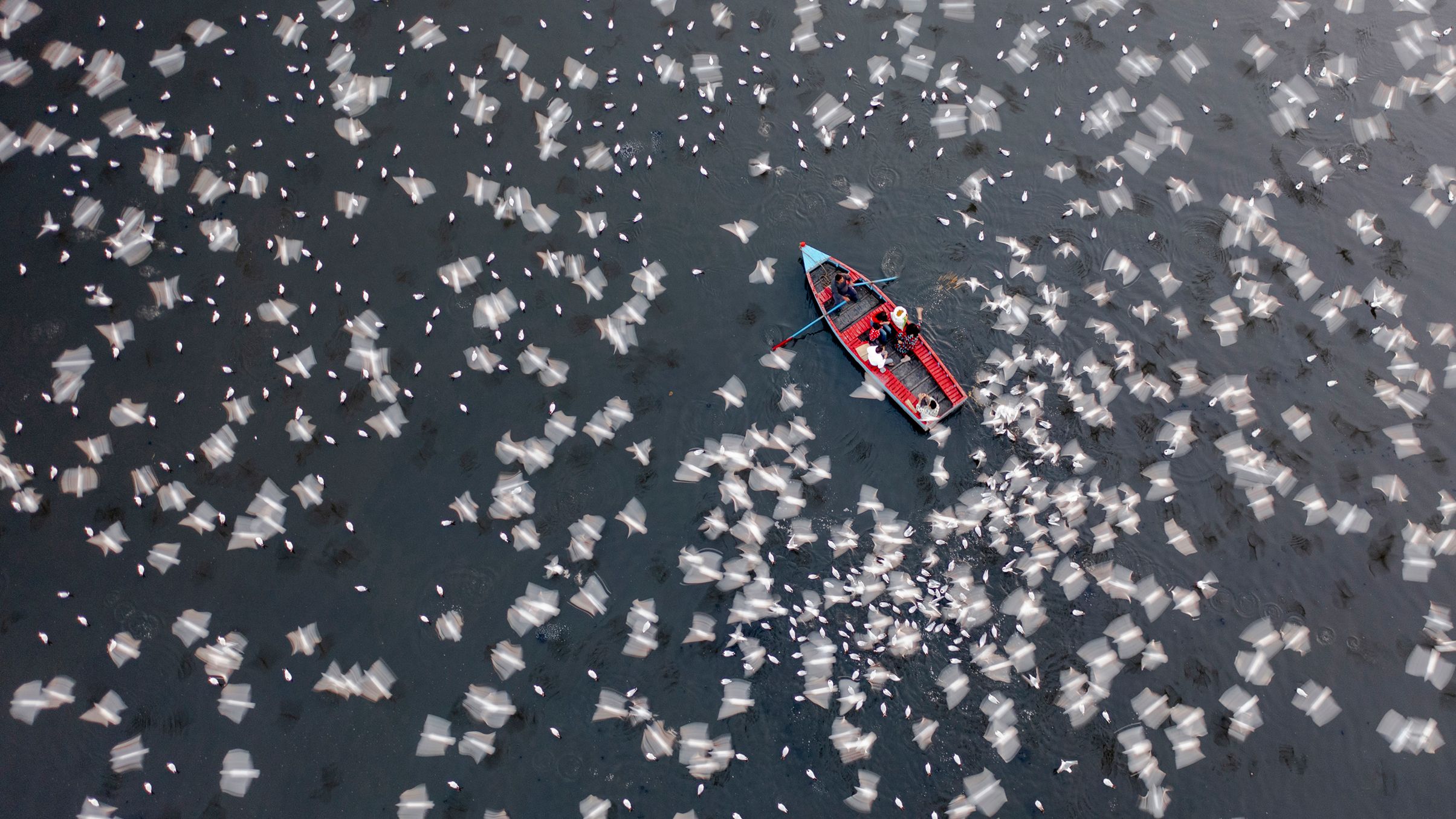 Drone Photographer Wins International Aerial Photographer of the Year